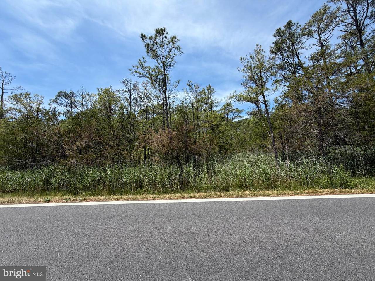 Parcel 517 Old State Road - Photo 1