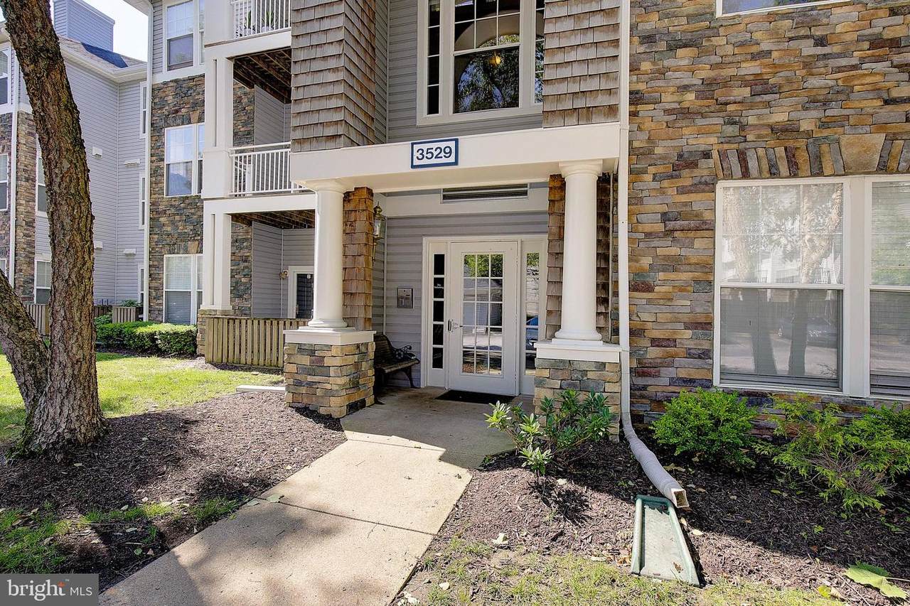 3529 Piney Woods Place - Photo 1