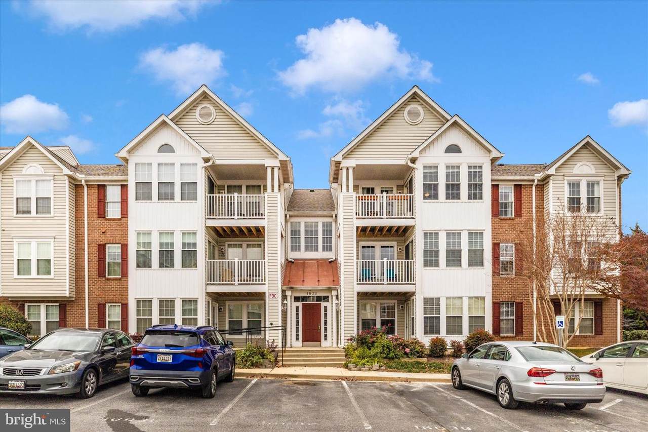 1603 Berry Rose - Photo 1