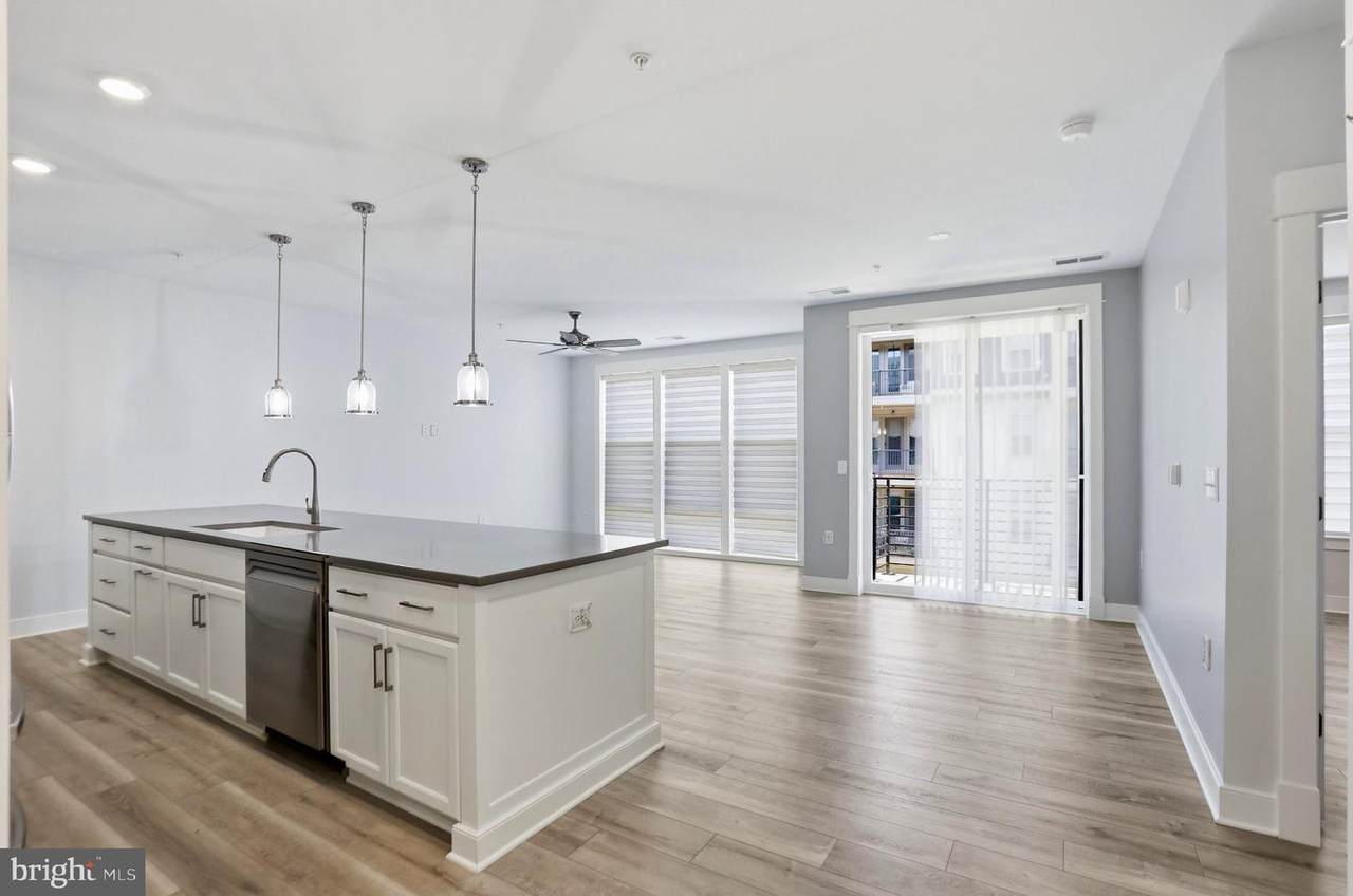 23651 Havelock Walk Terrace - Photo 1