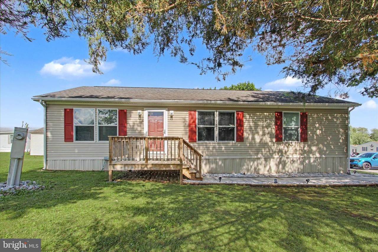46 Elizabeth Lane - Photo 1