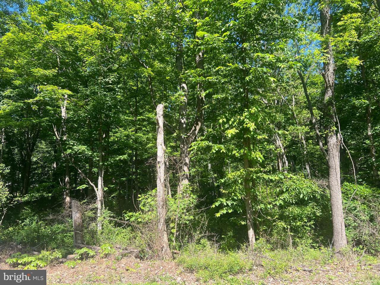  Cold Run Valley Road - Photo 1