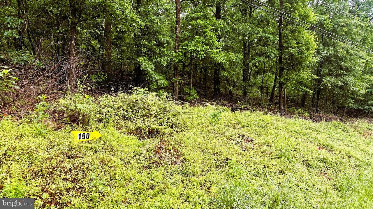 LOT 160-142 Hawk Trail - Photo 1