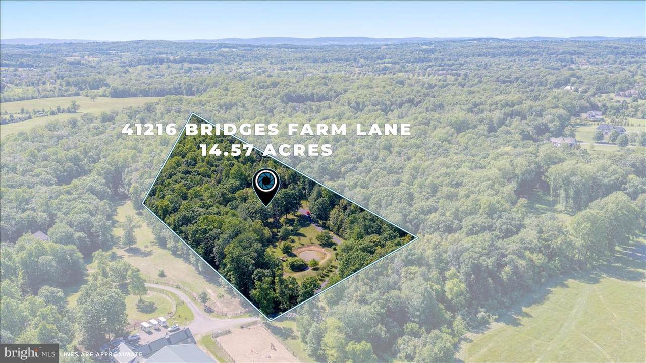 41216 Bridges Farm Lane - Photo 1