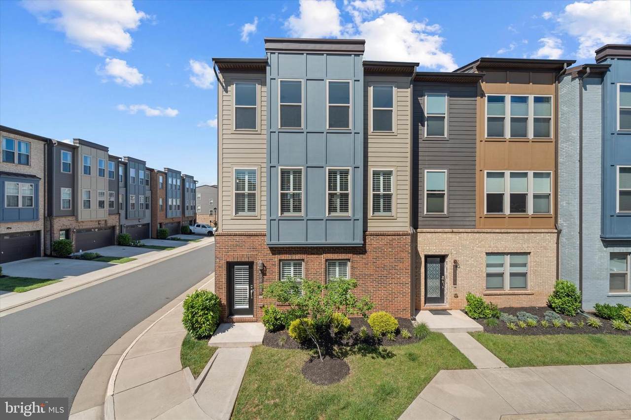 9828 Buchanan Loop - Photo 1