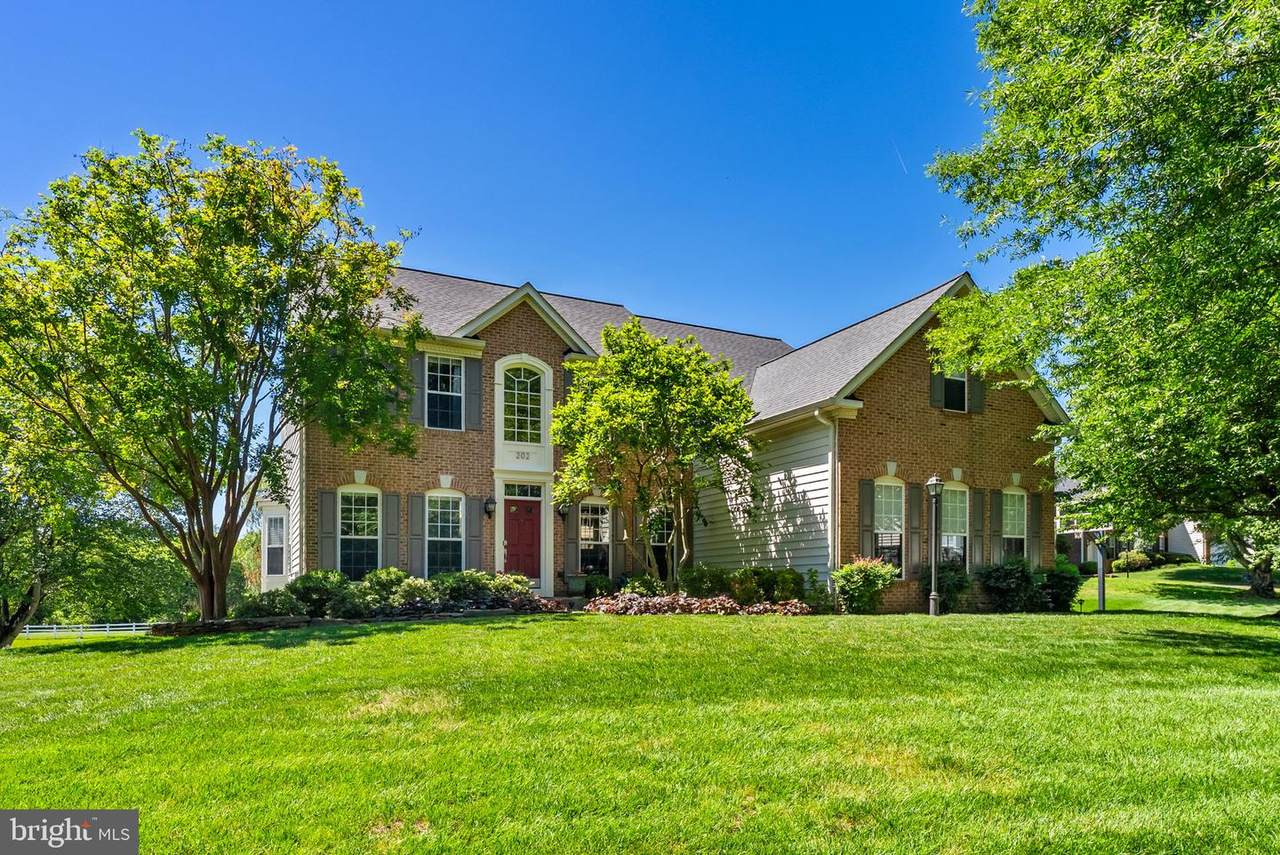 202 Cannon Way - Photo 1