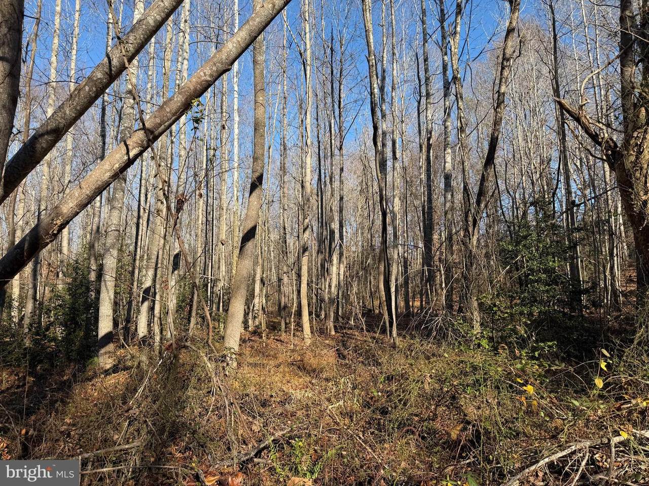 Lot 2 B Turkey Acres Road - Photo 1