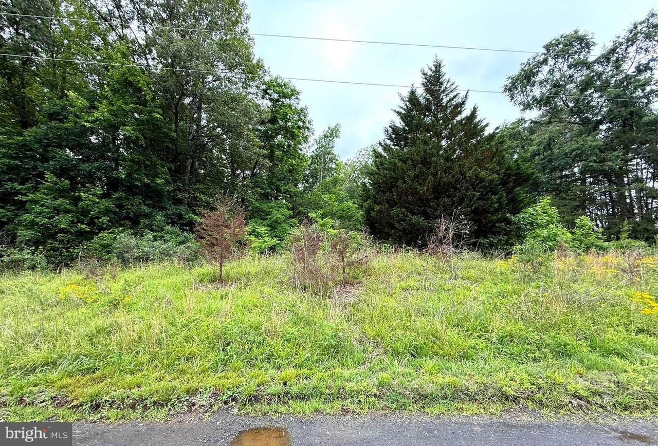 47 Delmar Lane - Photo 1