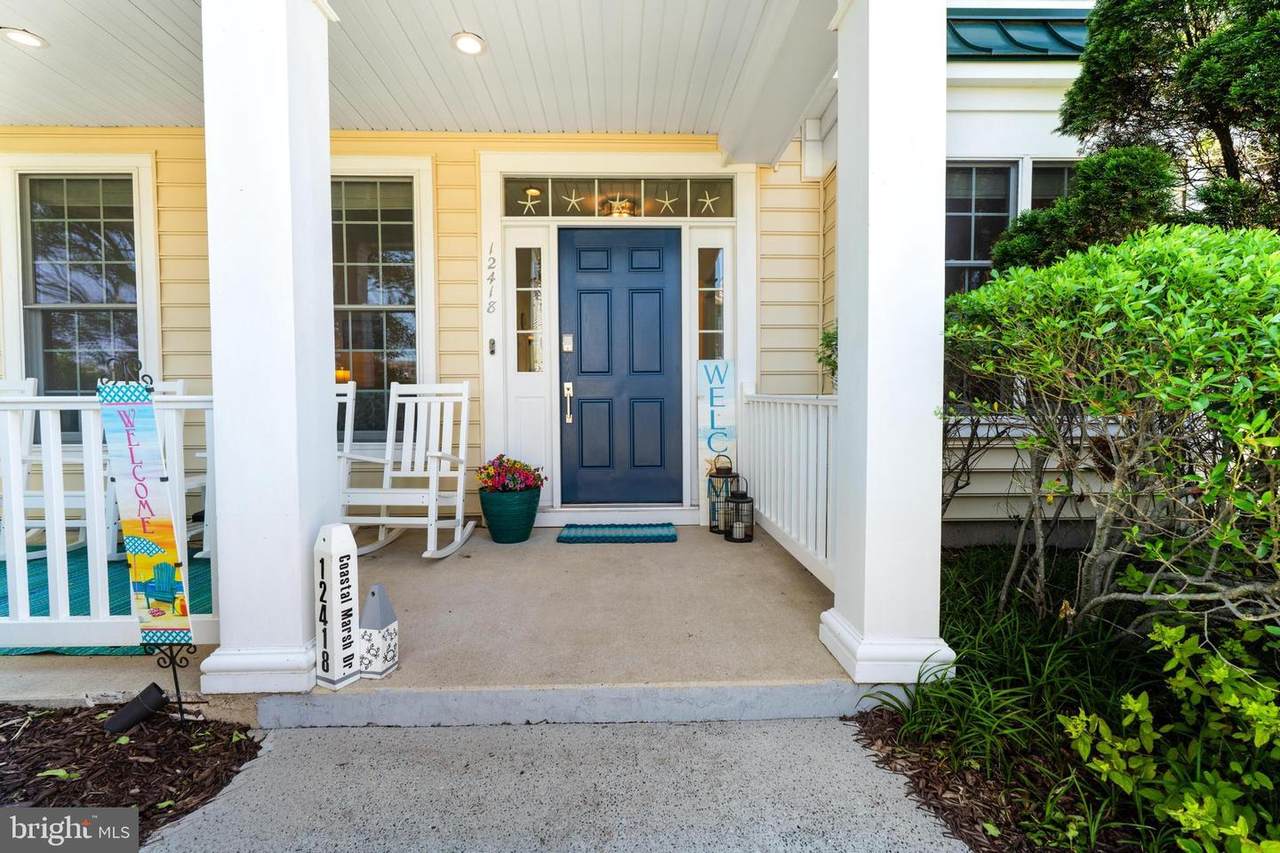12418 Coastal Marsh Drive - Photo 1