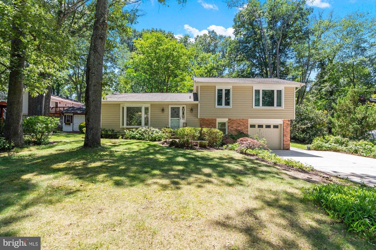 1123 Chinaberry Lane - Photo 1