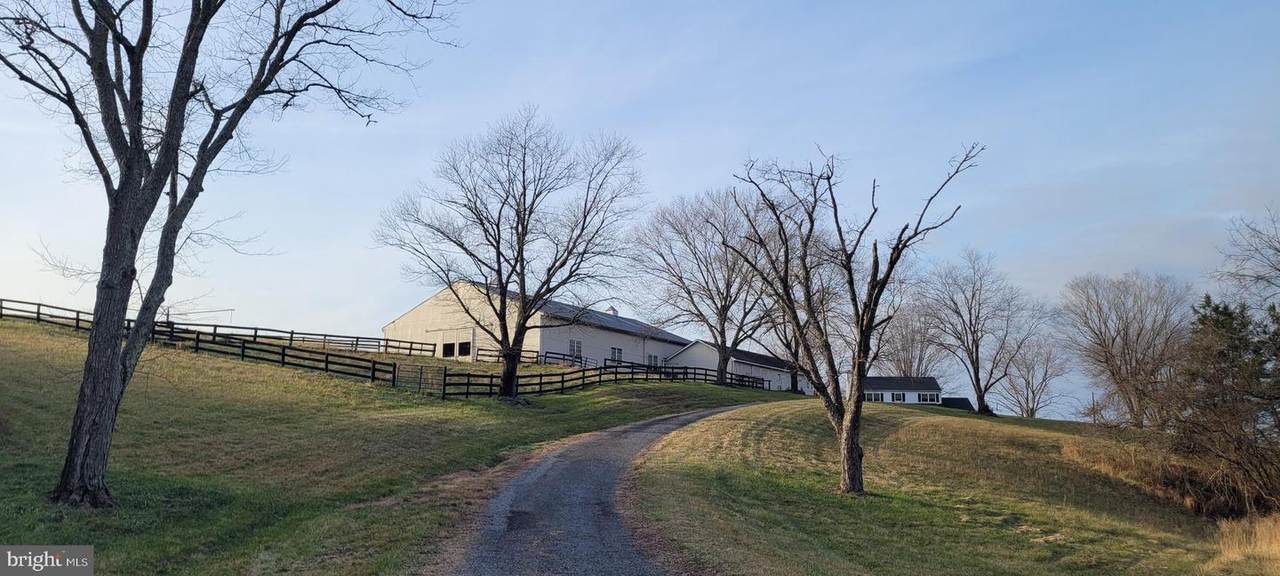 9253 Cliff Mills Road - Photo 1