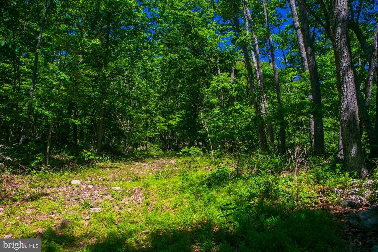 Lot 37 Poplar Trl - Photo 1