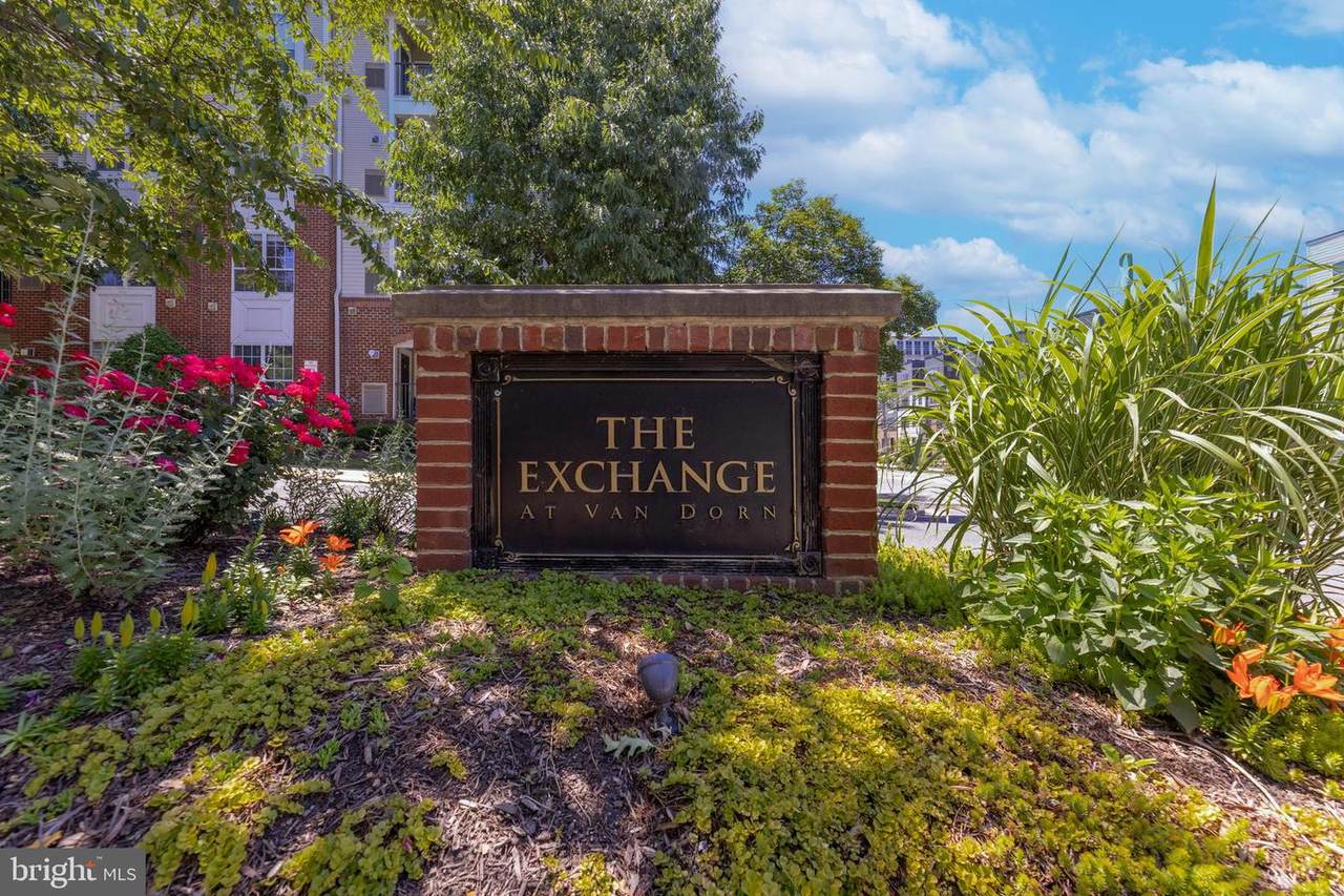 4852 Eisenhower Avenue - Photo 1