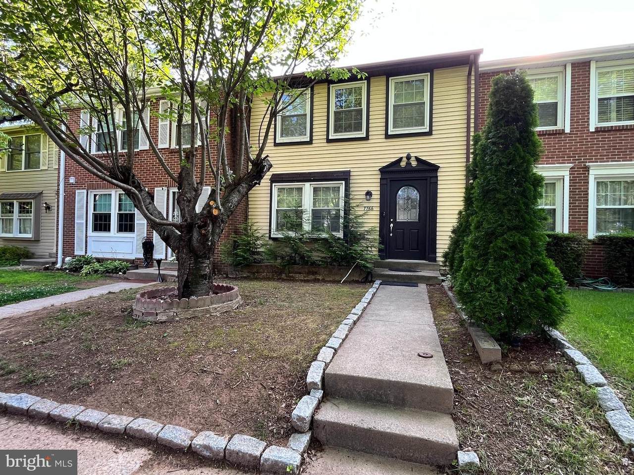 7766 Epsilon Drive - Photo 1