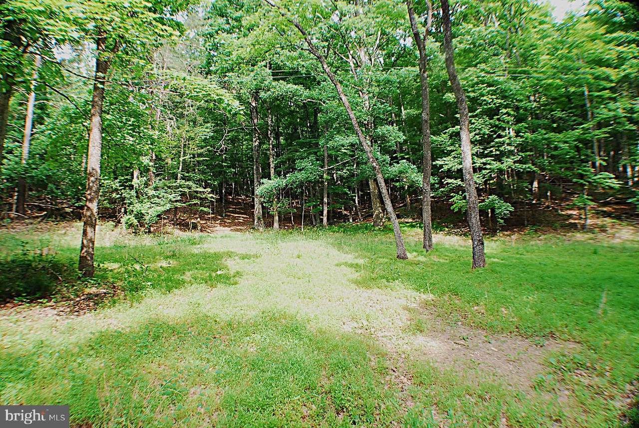 Lot 5 Snake - Photo 1