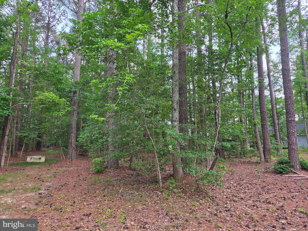 Lot 272 Military Court - Photo 1