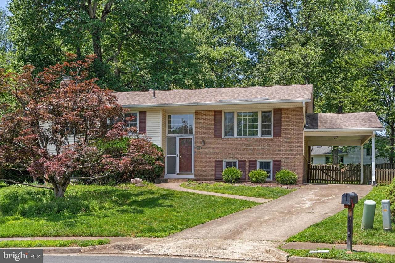 905 Carole Court - Photo 1