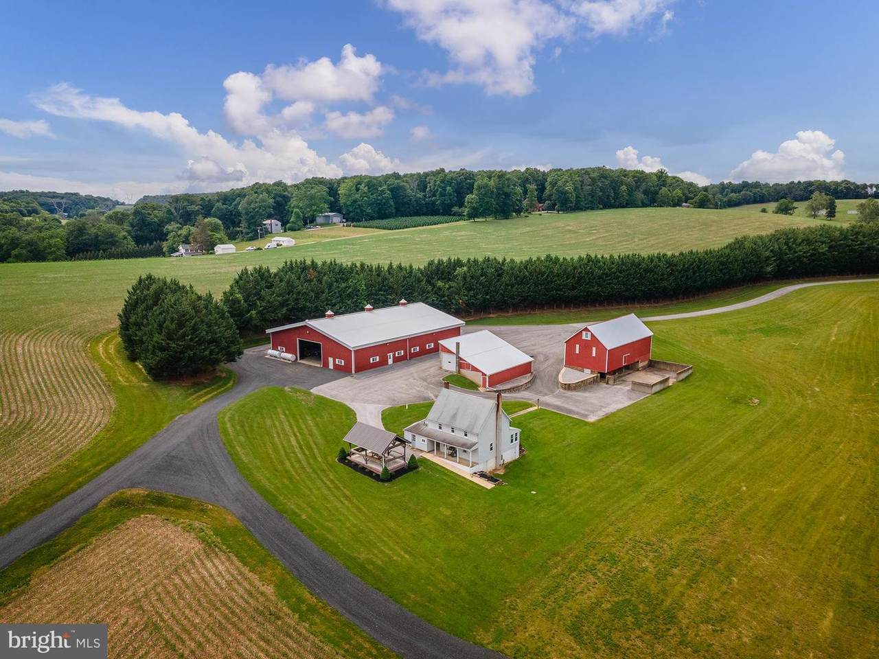 901 Freeland Road - Photo 1