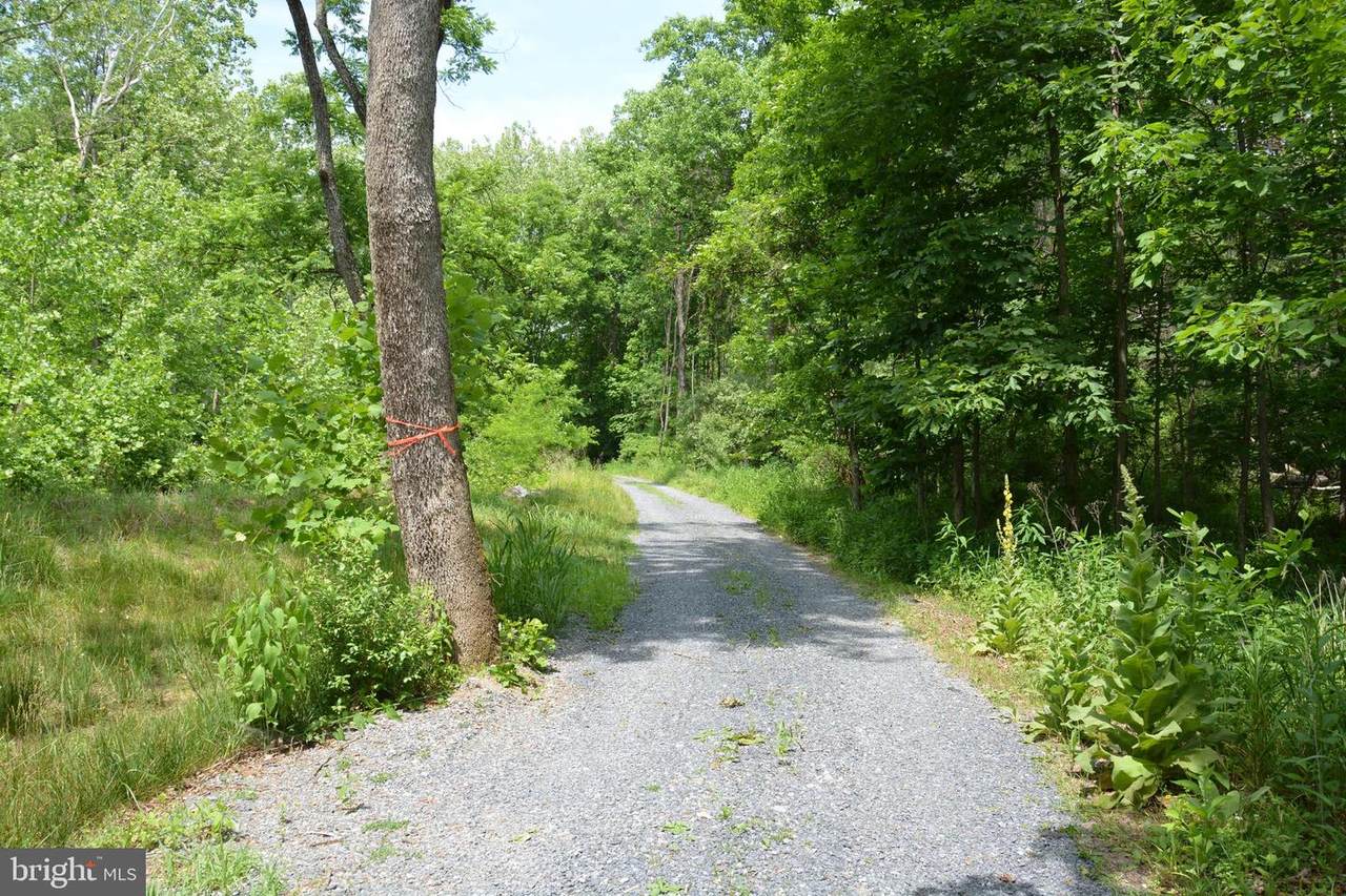 TWO LOTS ON Siler Road - Photo 1