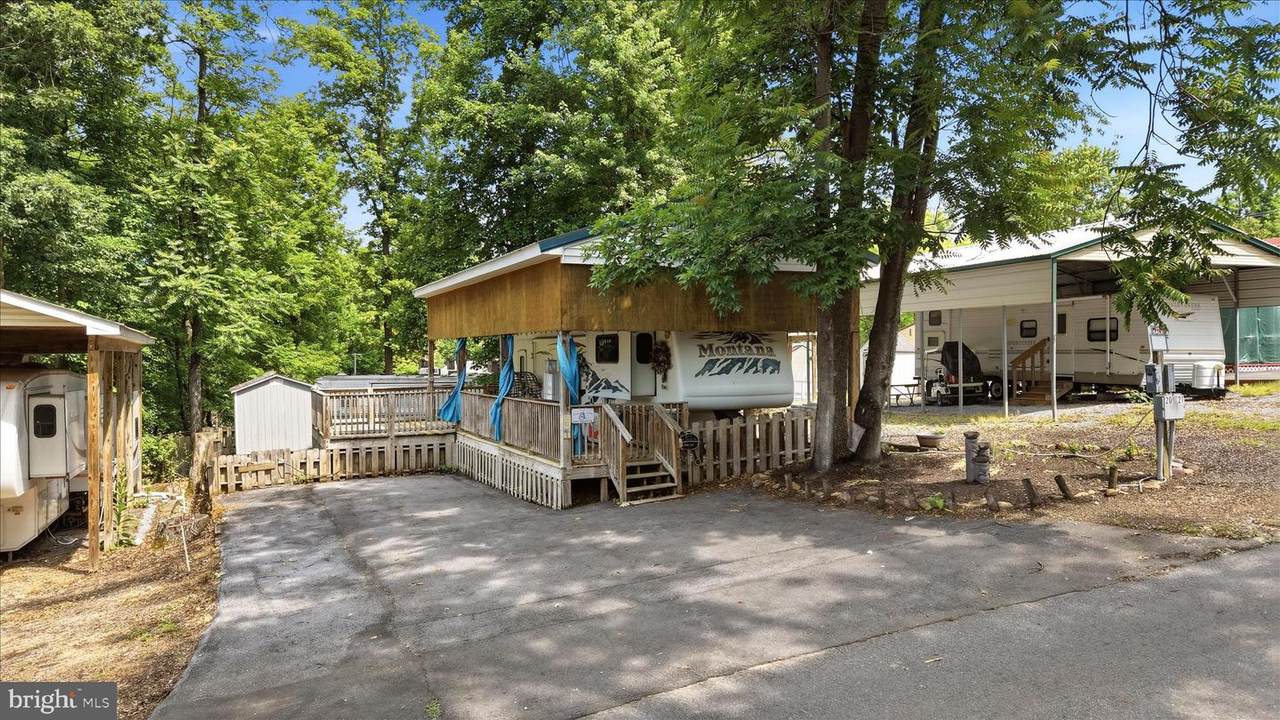 Lot 20 Hot Dog Road - Photo 1