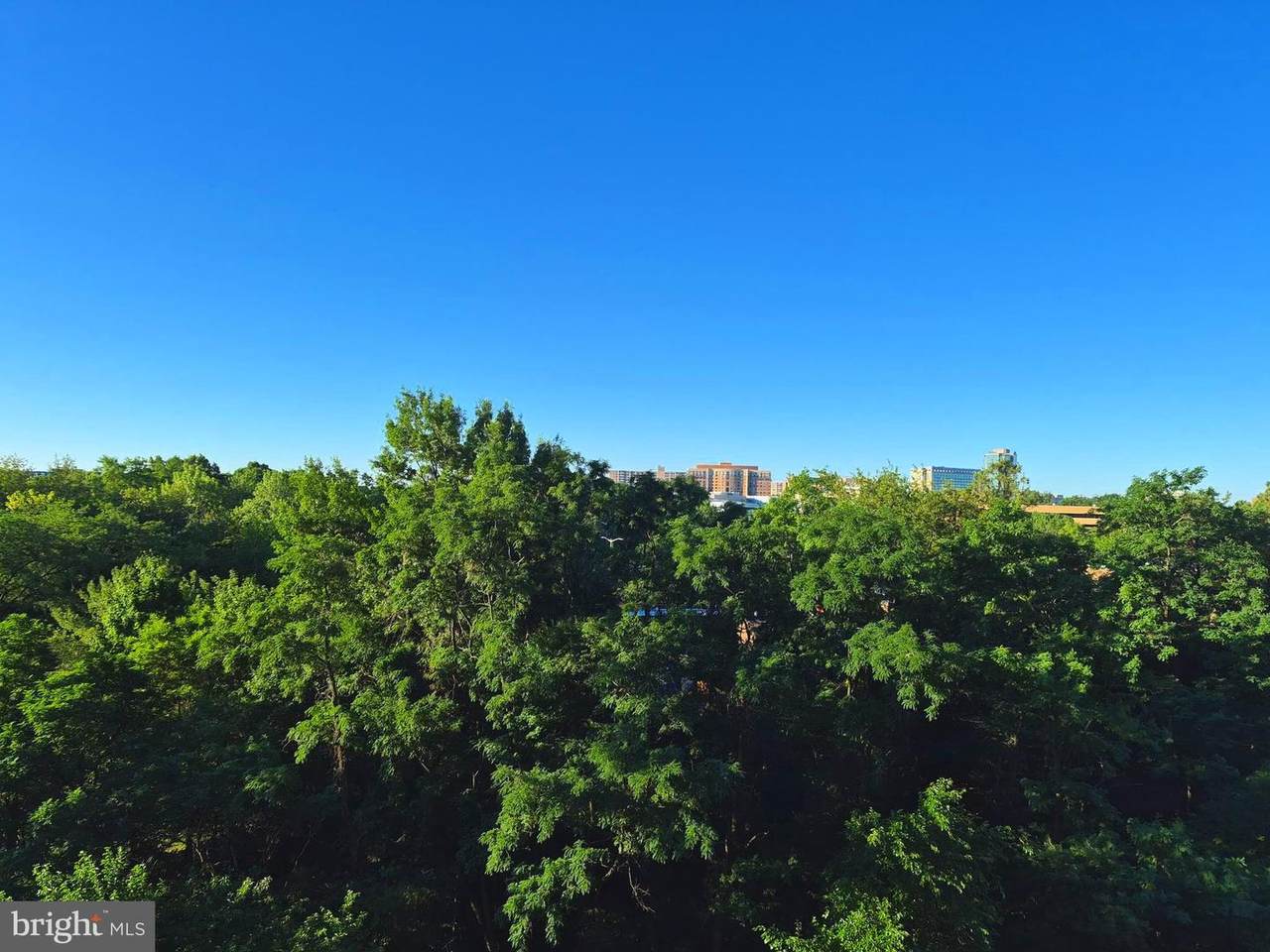 3705 George Mason Drive - Photo 1