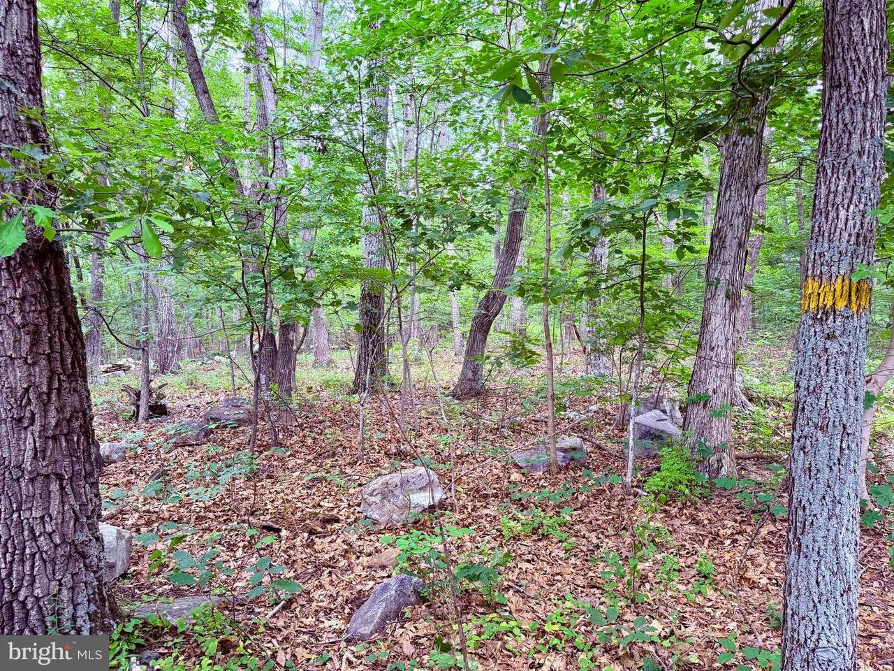 21908 White Oak Road - Photo 1
