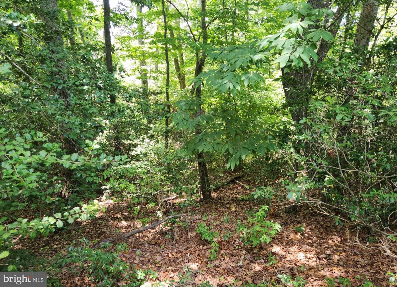 https://bt-photos.global.ssl.fastly.net/brightmls/1280_boomver_1_805059655498-2.jpg