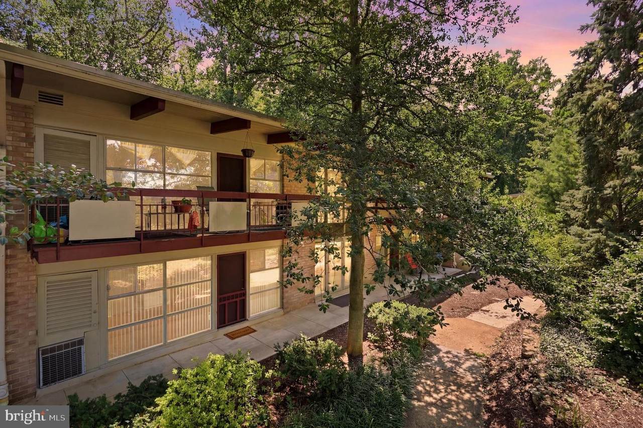 4203 Americana Drive - Photo 1
