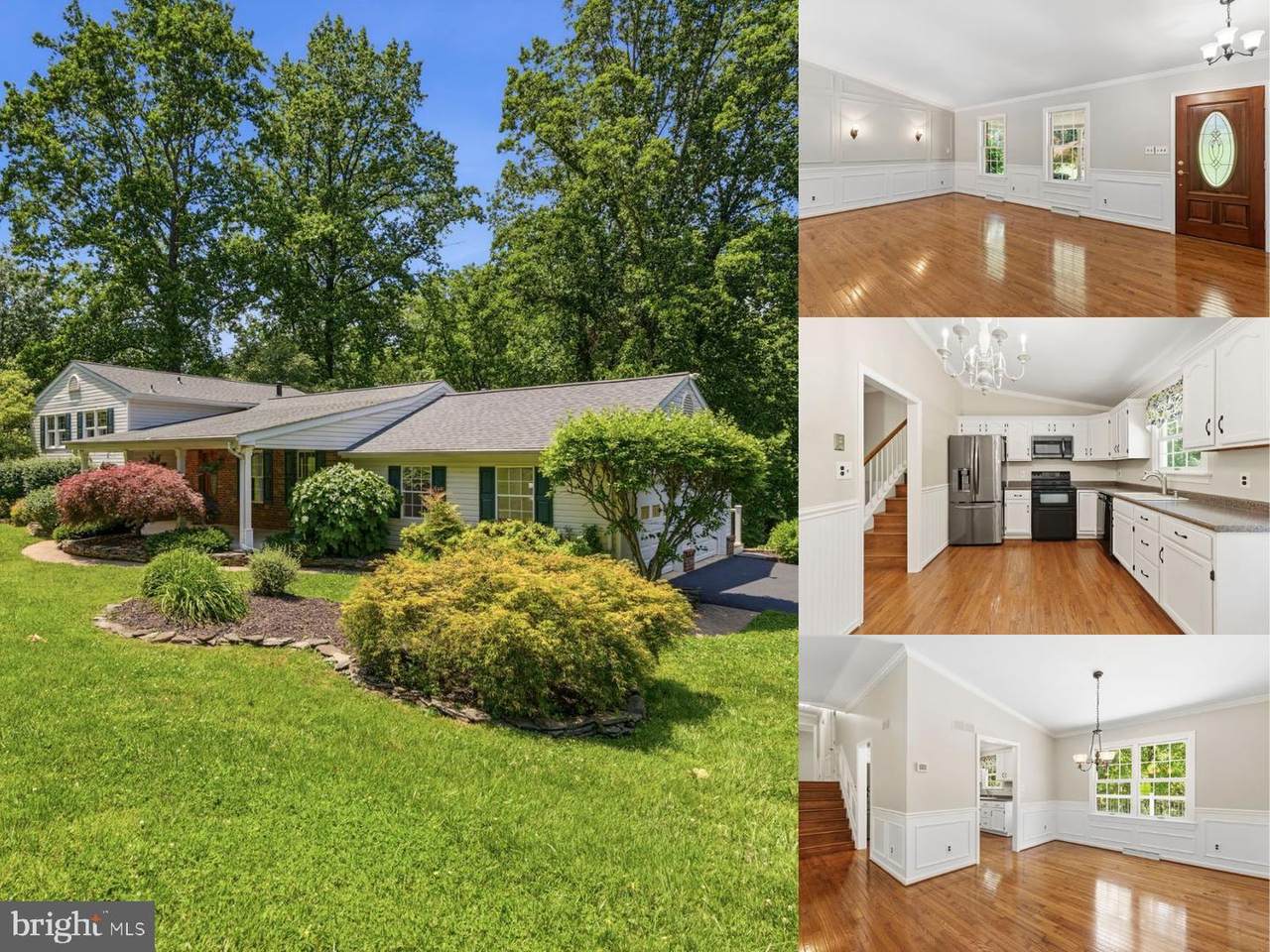 1602 Branch Court - Photo 1