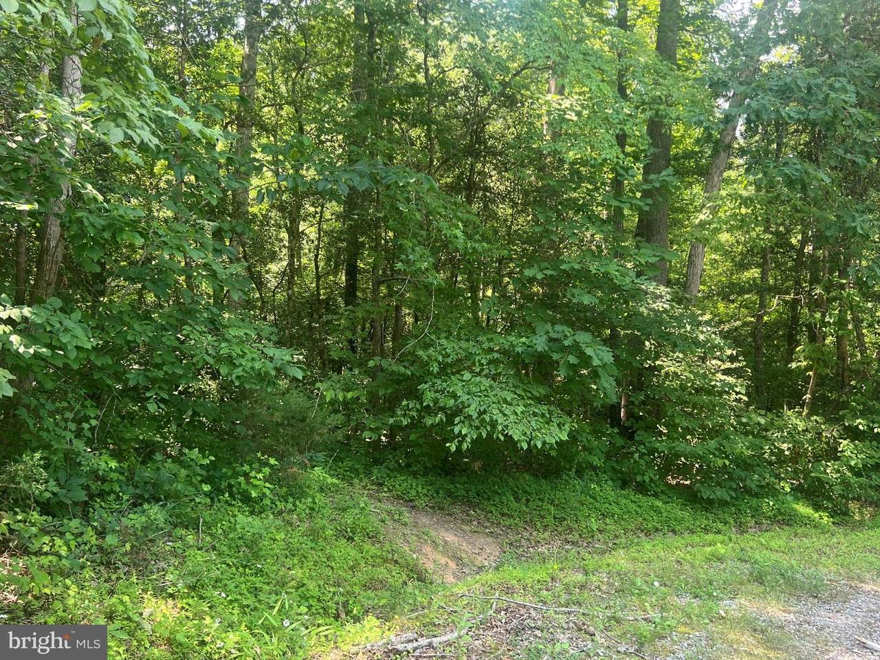 5517 Forest View Drive - Photo 1