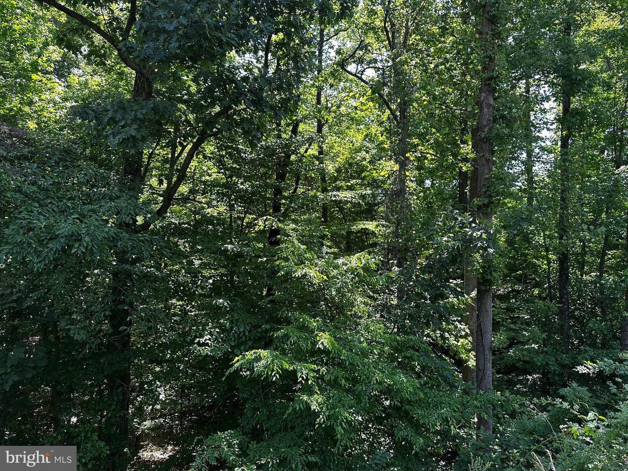 17201 Interstate Drive - Photo 1