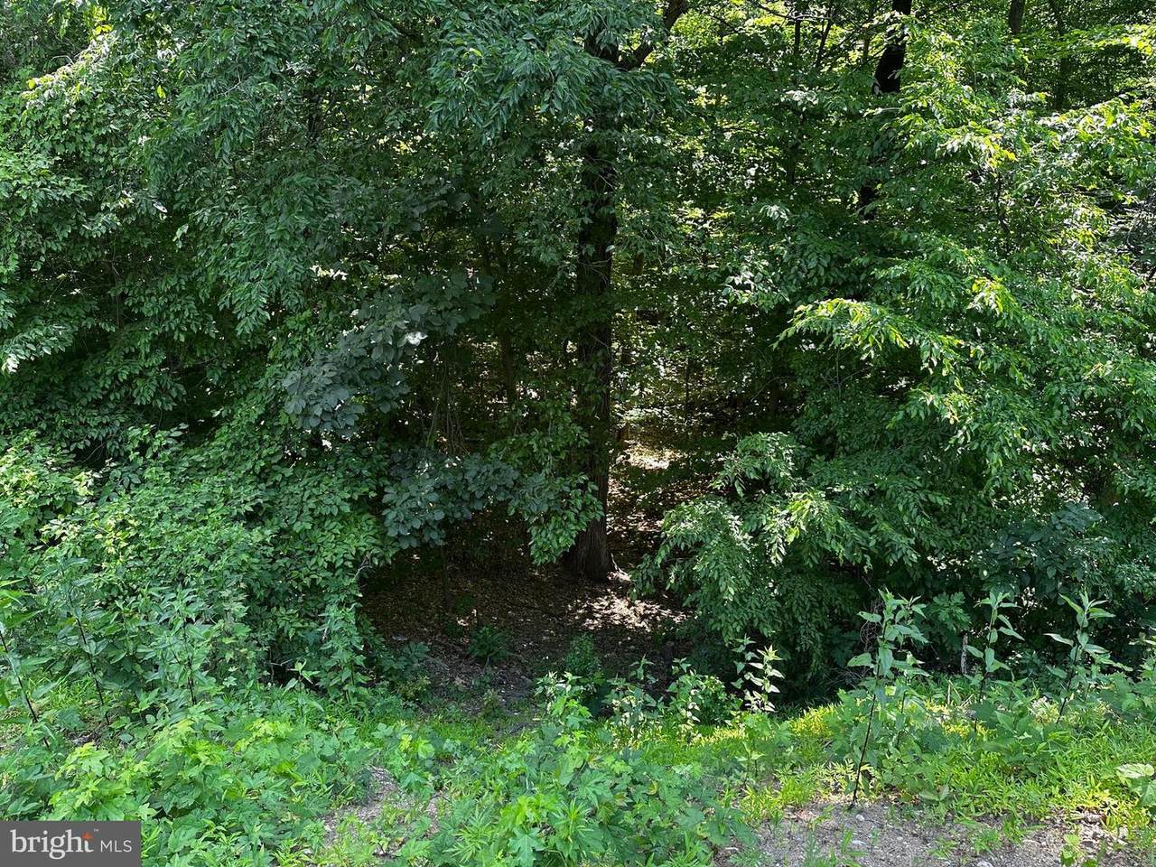 https://bt-photos.global.ssl.fastly.net/brightmls/1280_boomver_1_805066380826-2.jpg
