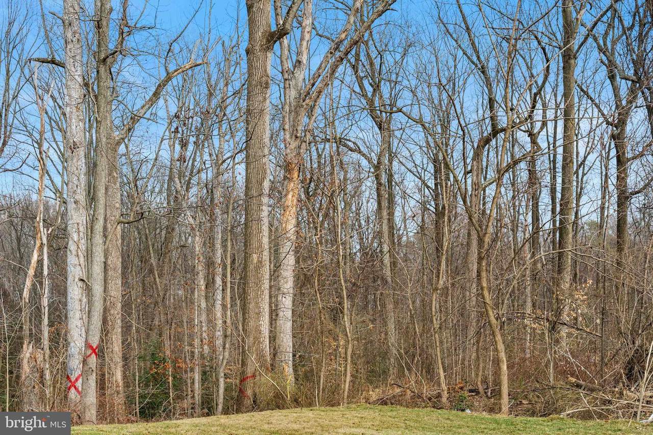 6106 Wesson Drive - Photo 1
