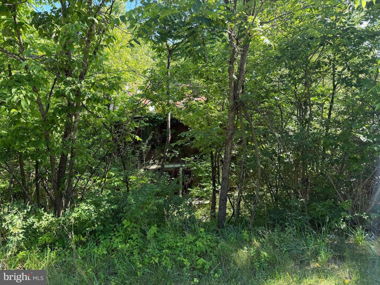 https://bt-photos.global.ssl.fastly.net/brightmls/1280_boomver_1_805067109462-2.jpg
