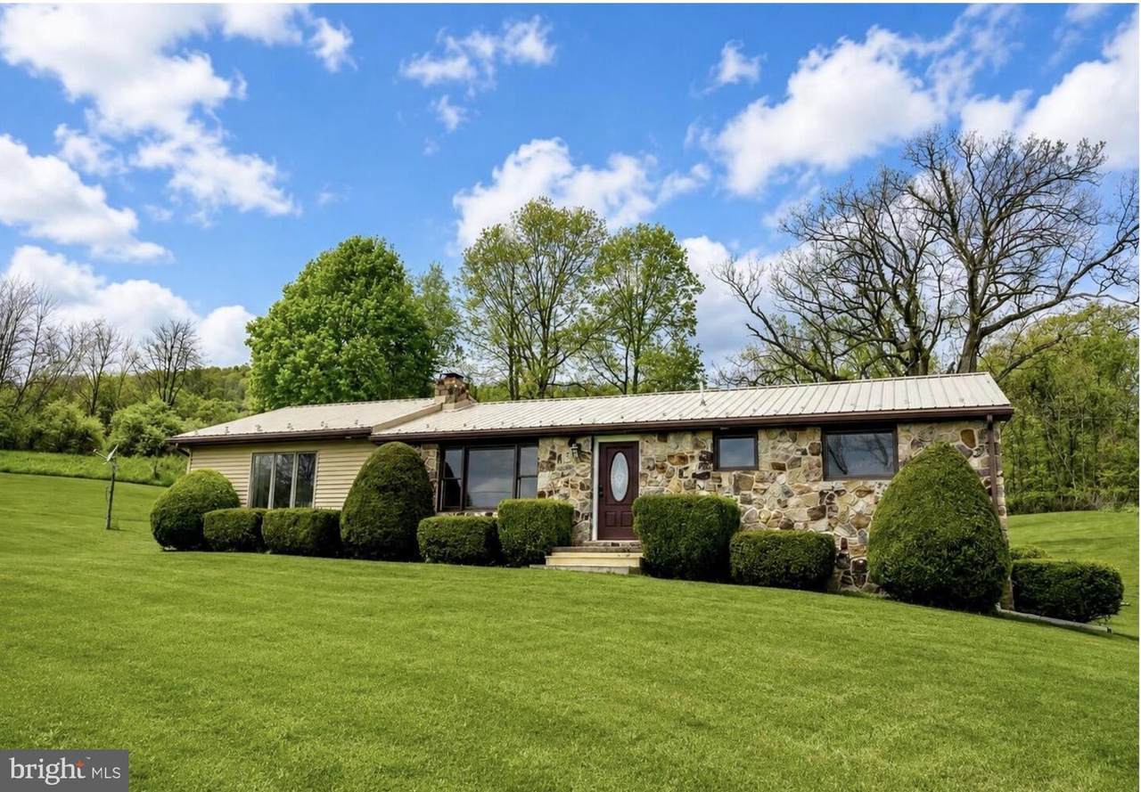 4805 Buffalo Run Road - Photo 1