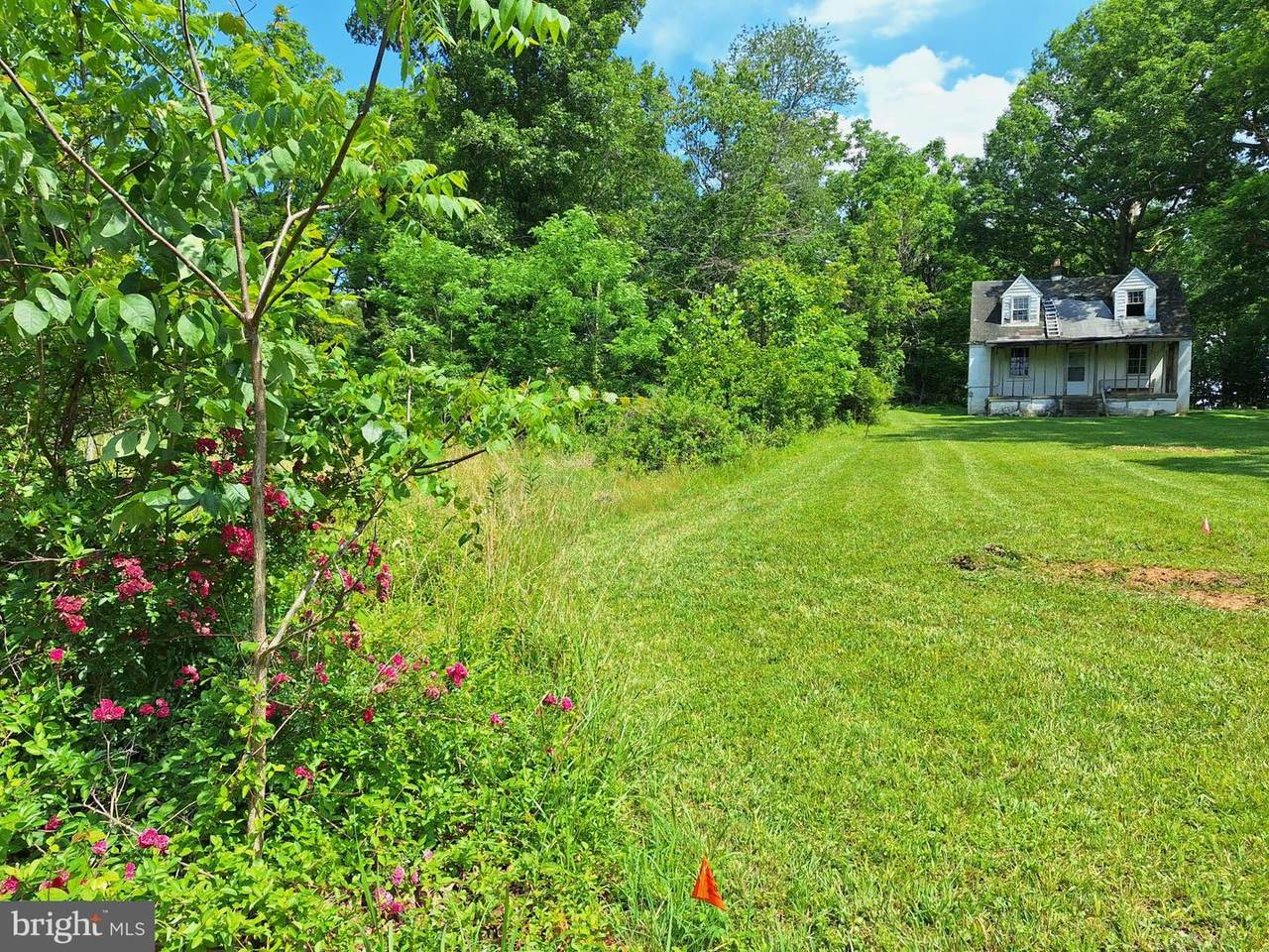 9499 Old Waterloo Road - Photo 1