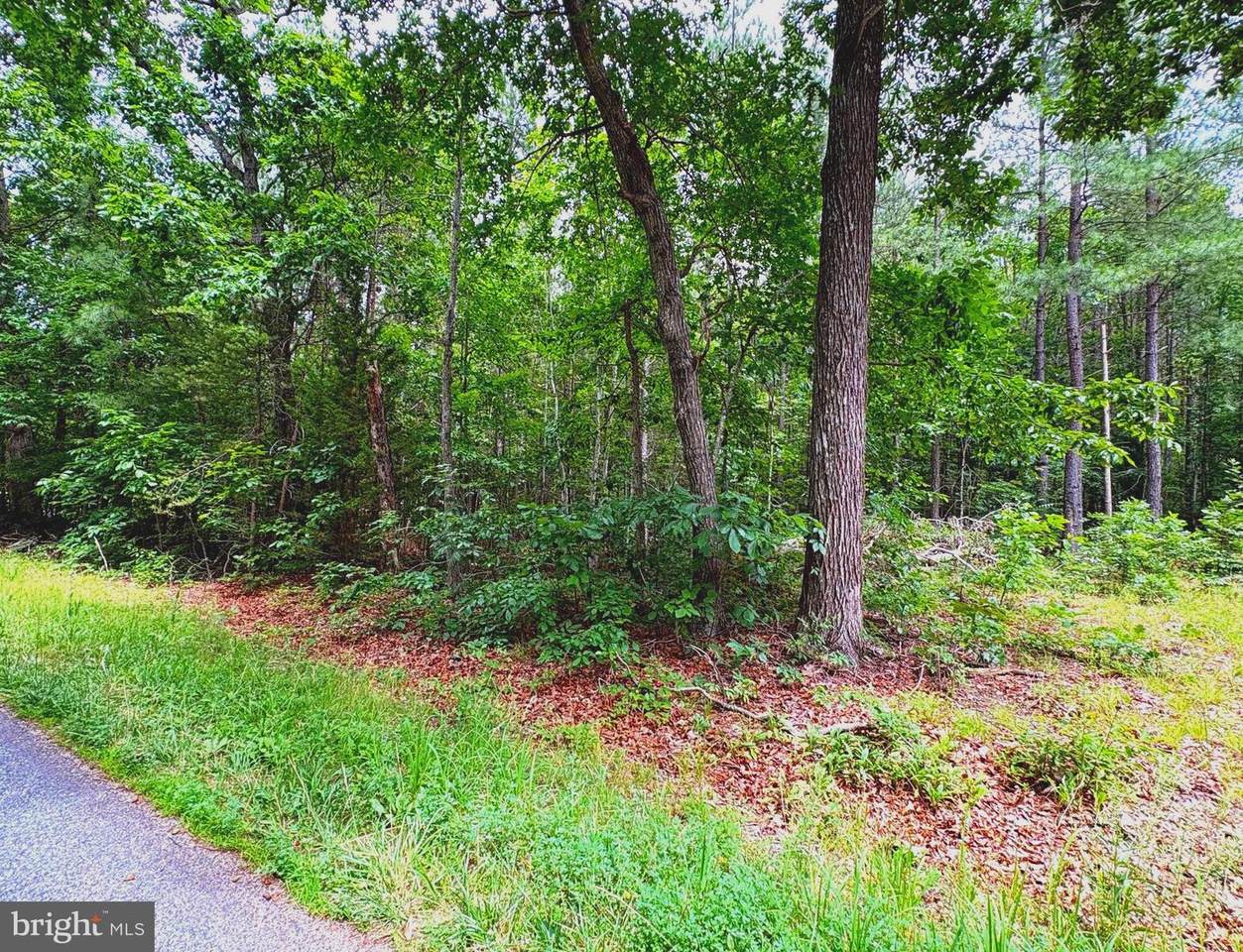  Governor Almond Rd - Photo 1