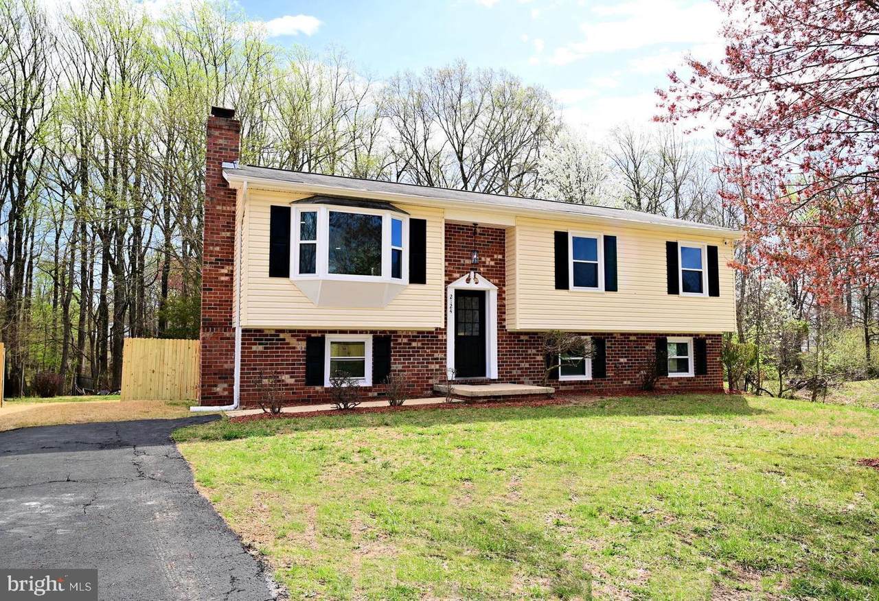 2124 Bell Tree Lane - Photo 1