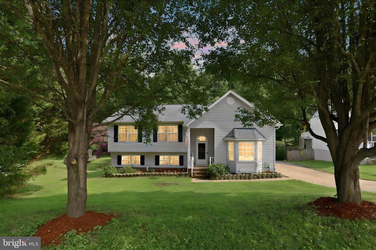 7422 Laura Lane - Photo 1