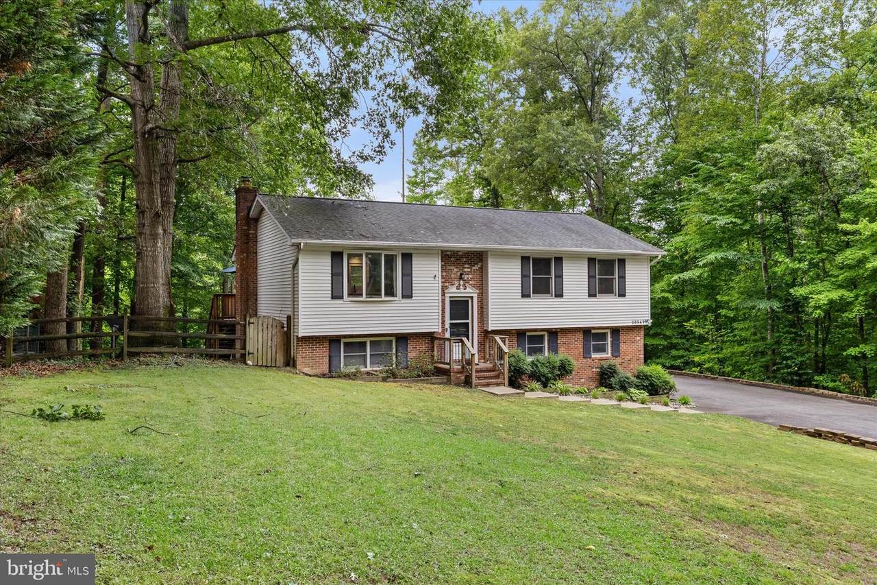10569 Roosevelt Drive - Photo 1