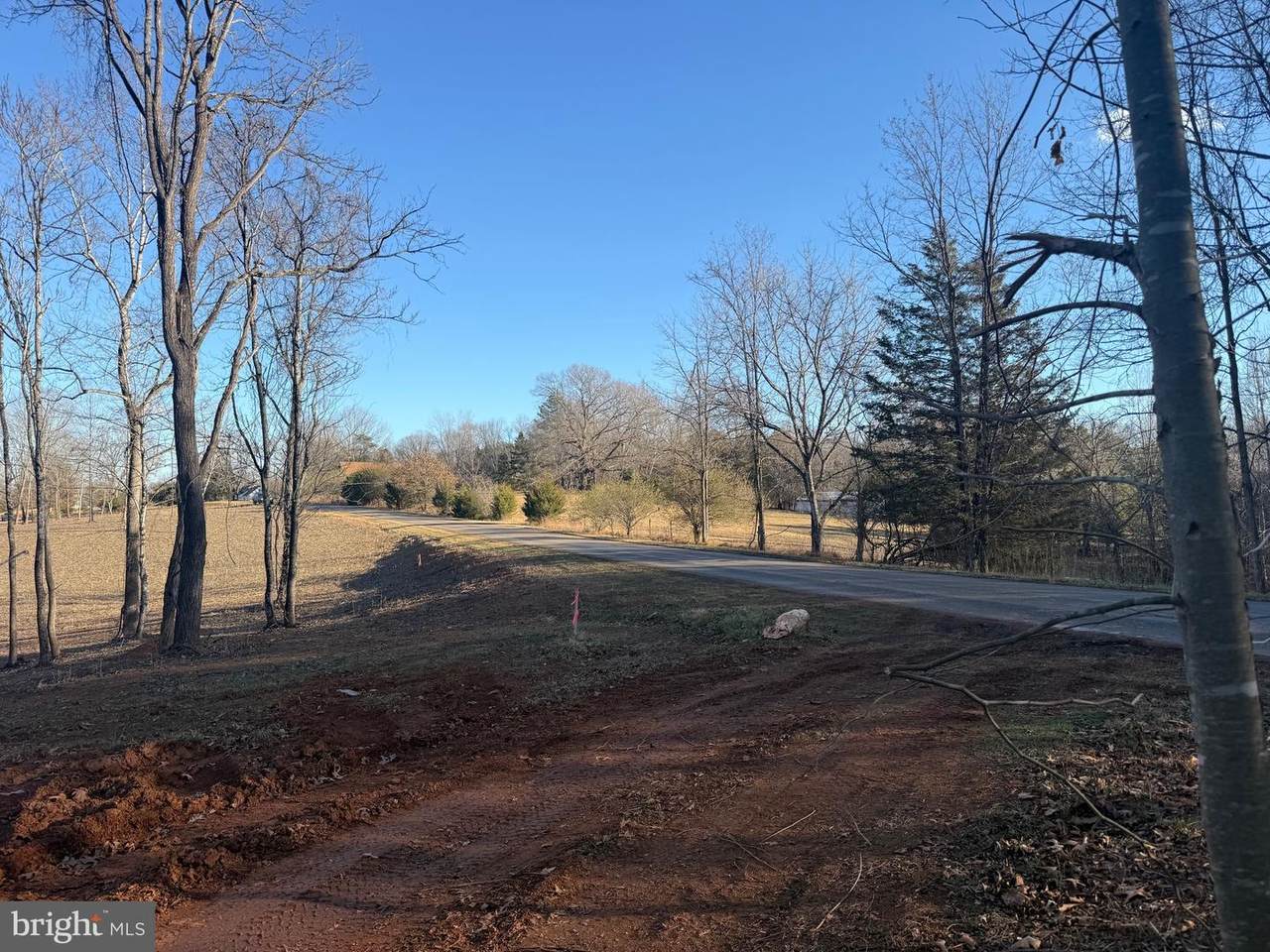 TBD Wingfield Dr - Photo 1