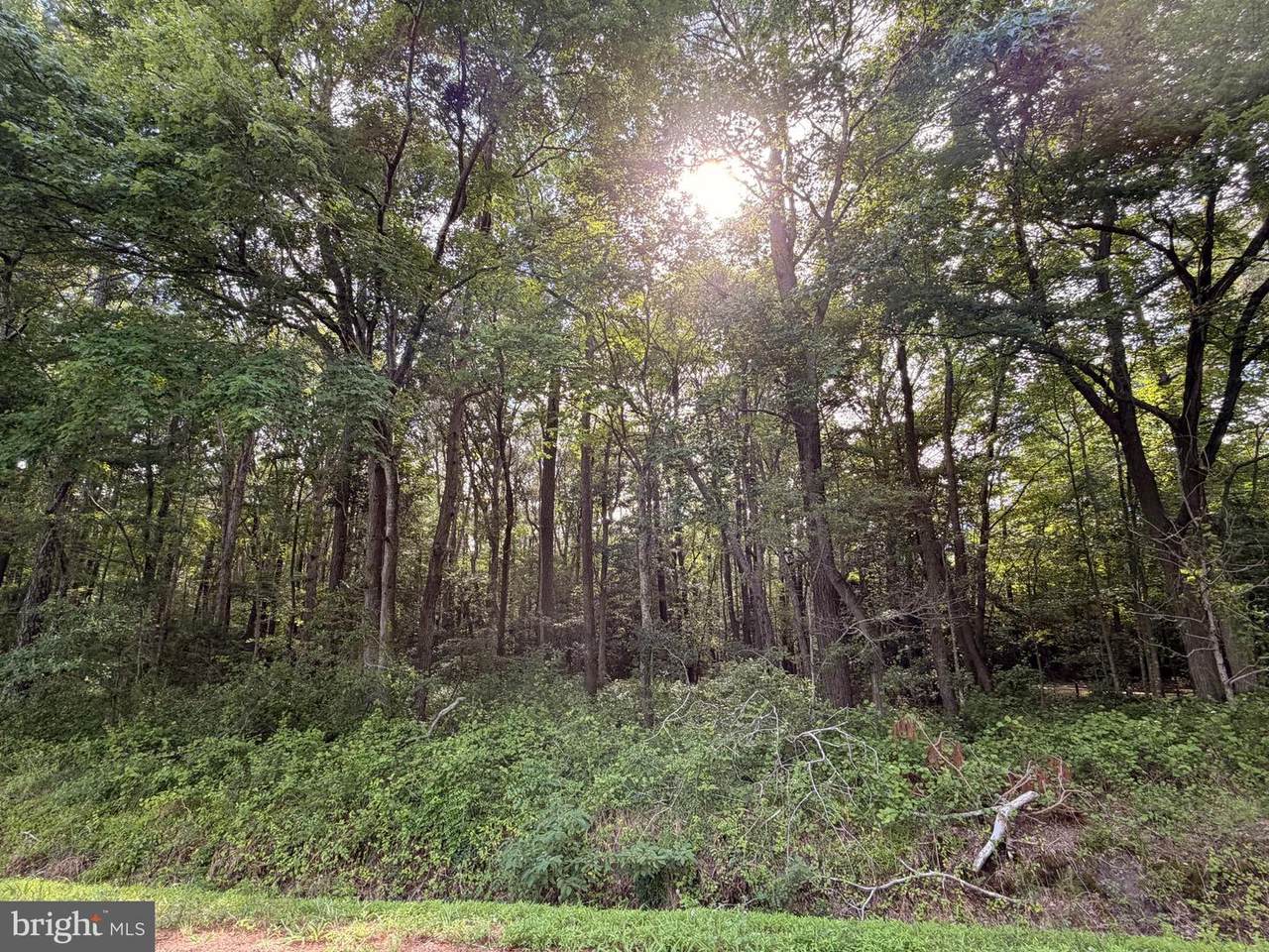 0 Bivens Road - Photo 1