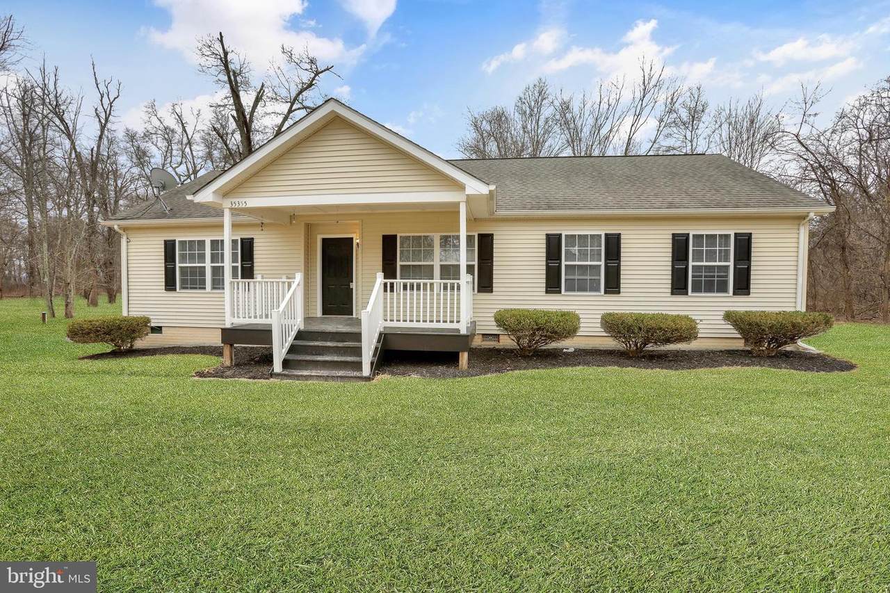 35355 Hamlin School Lane - Photo 1