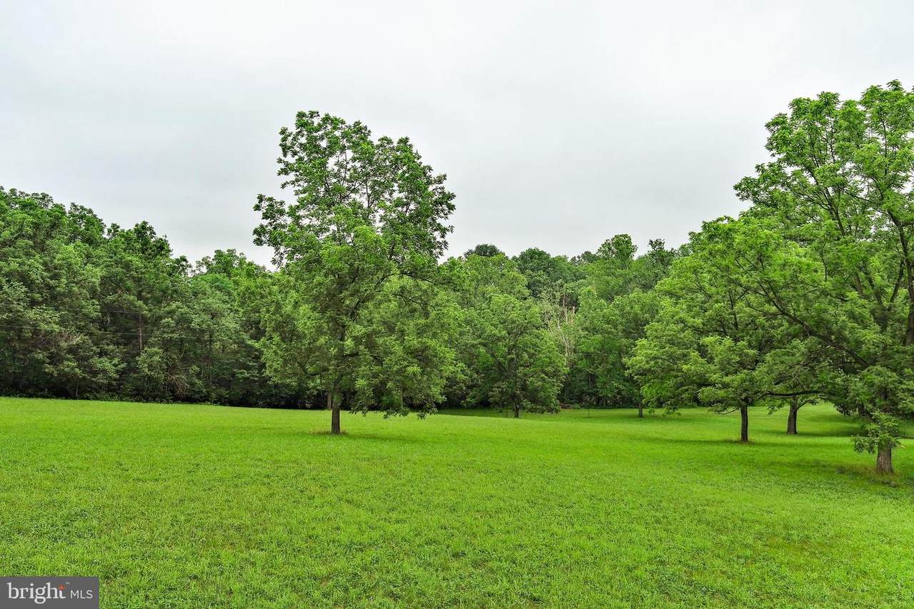  Martz Lane - Photo 1
