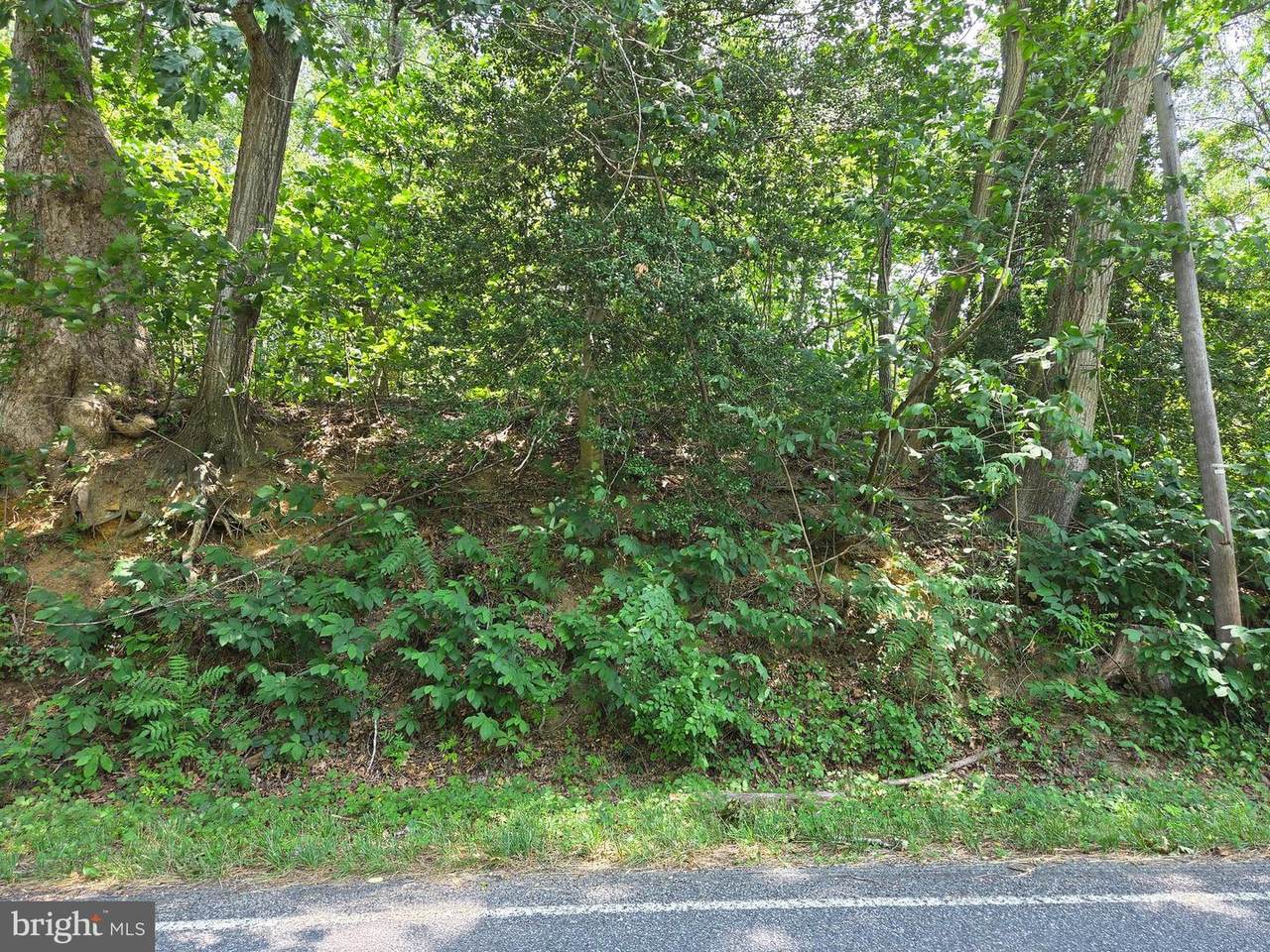LOT 29 Prospect Hill Road - Photo 1