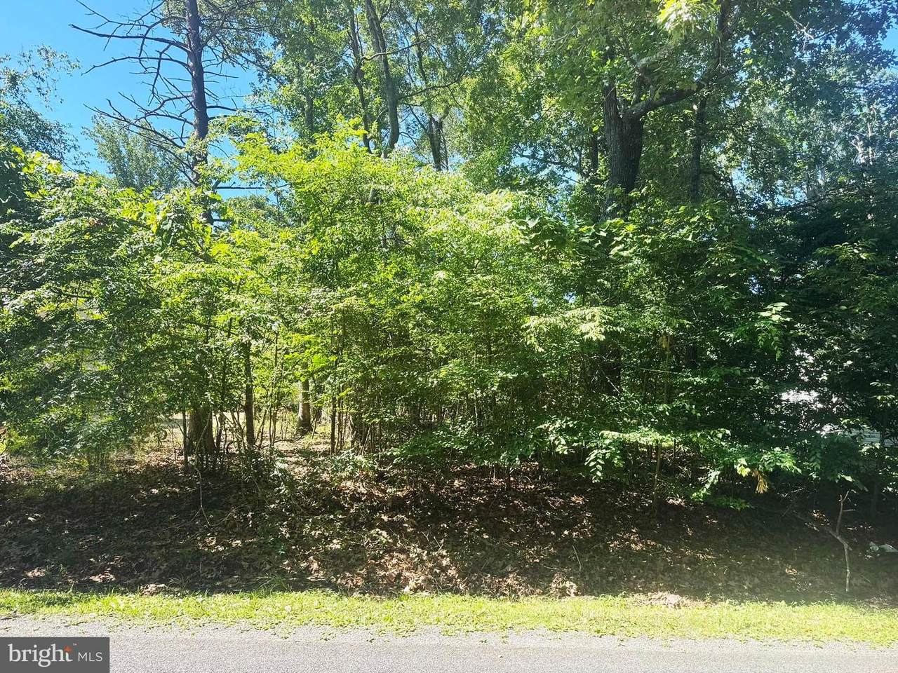Lot 68 Brigantine Boulevard - Photo 1