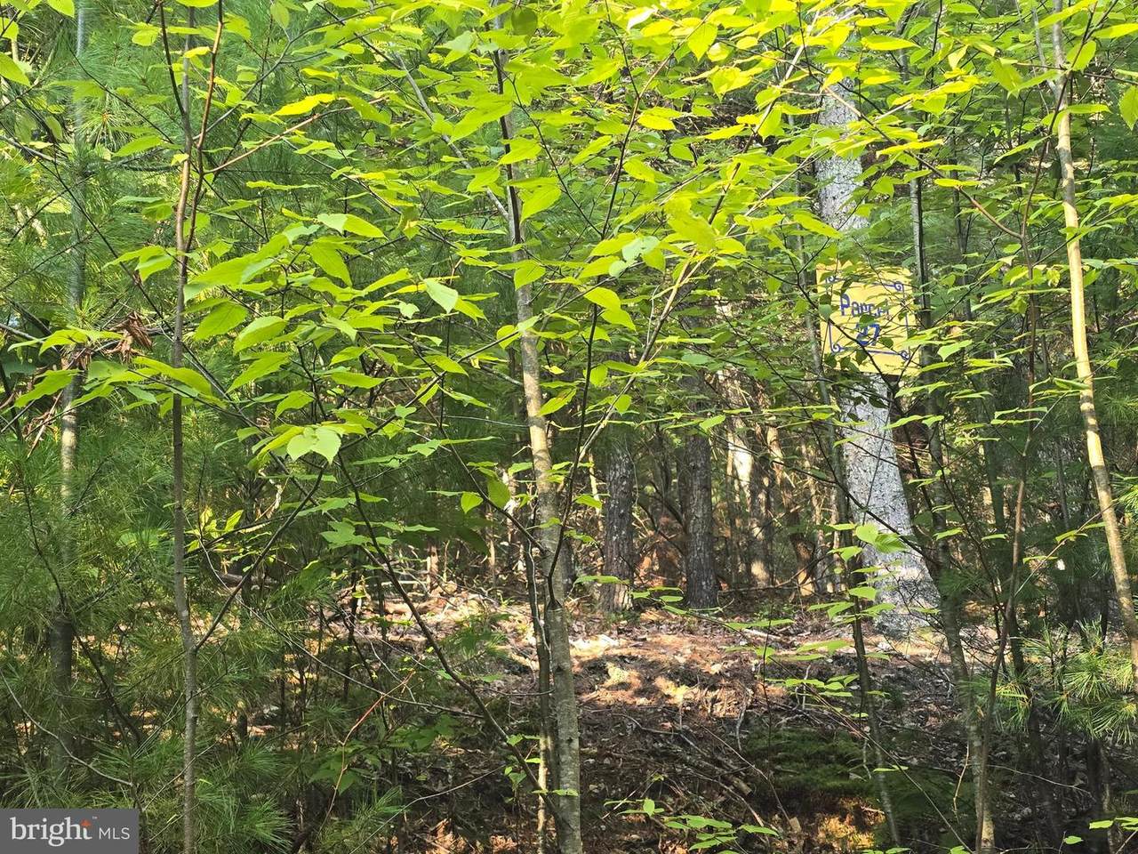 Lot 27 Native Trout Ln - Photo 1
