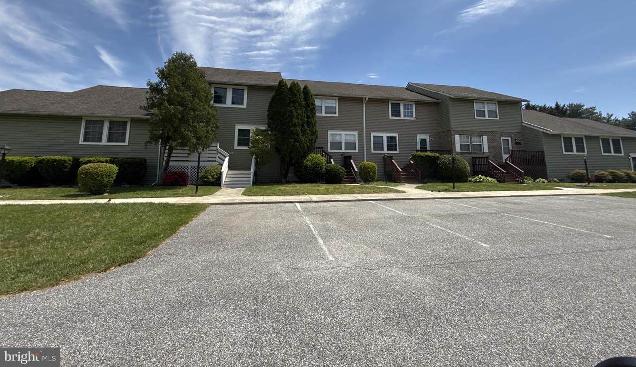 29595 Dutchmans Lane - Photo 1