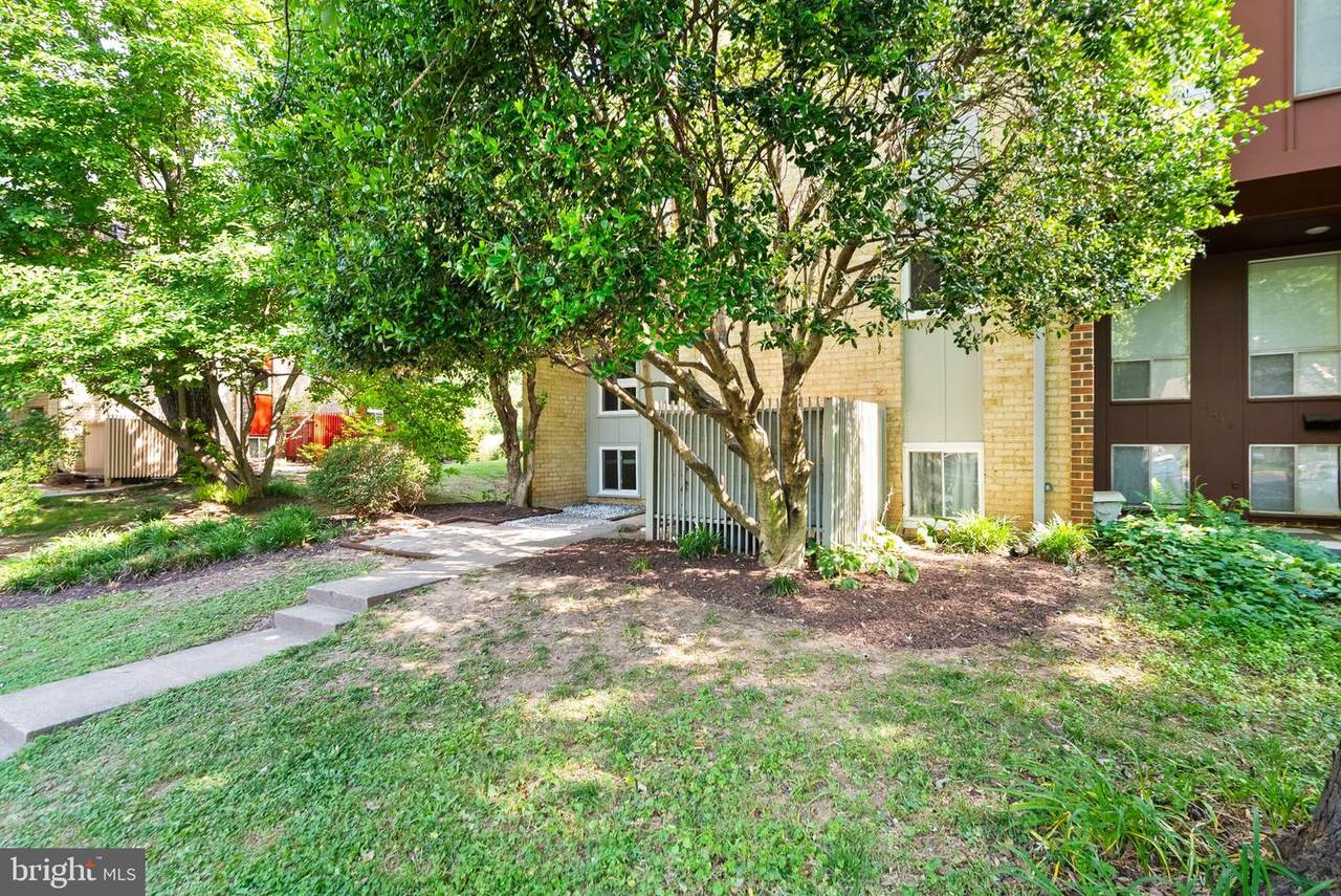 11041 Saffold Way - Photo 1