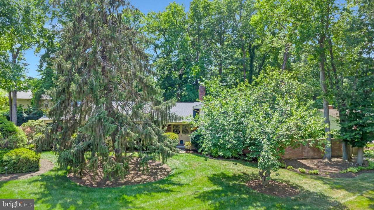 4401 Dolphin Lane - Photo 1